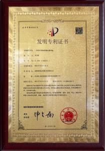 一種頸肩腰腿貼發明***2